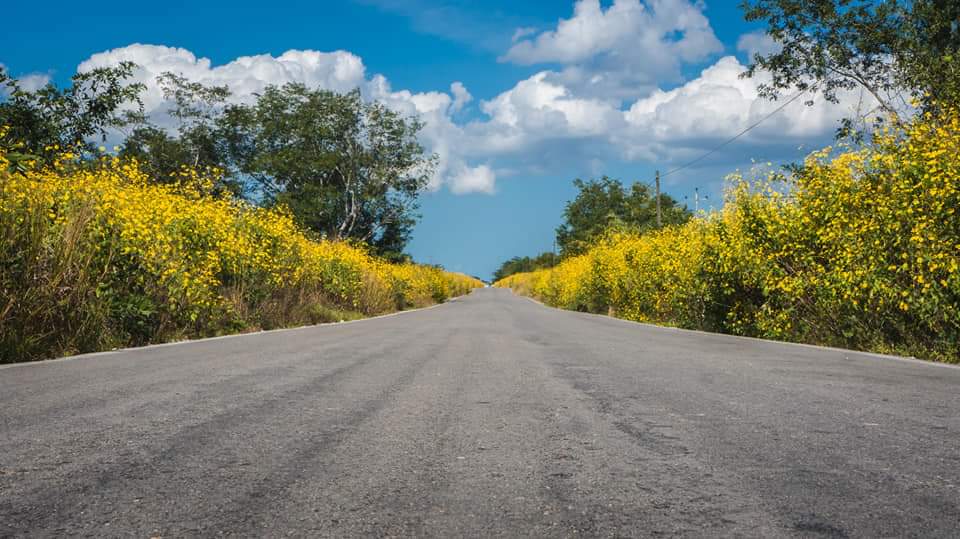 Banner de alimentos saludables, nutritivos y deliciosos