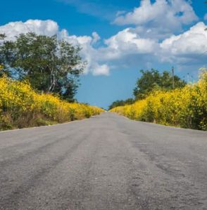 Banner de alimentos saludables, nutritivos y deliciosos