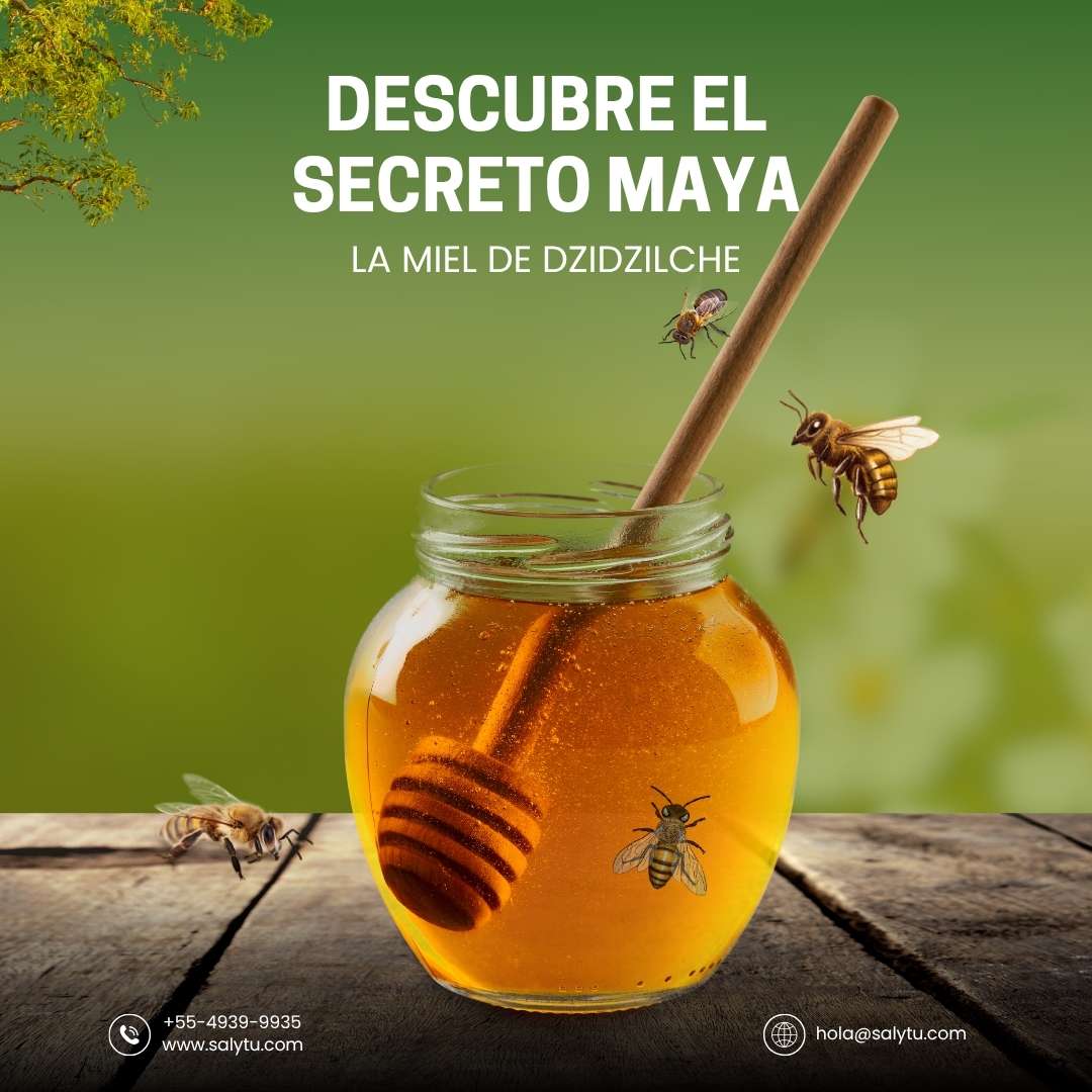 Descubre el Secreto Maya: La Miel de Dzidzilche